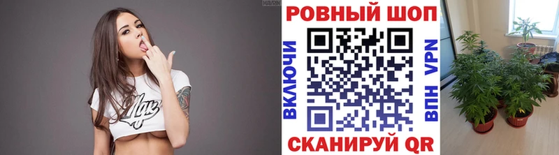 Купить наркоту Руза АМФЕТАМИН  Галлюциногенные грибы  ГЕРОИН  Codein  ГАШИШ 