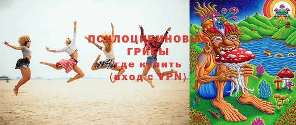бошки Абинск