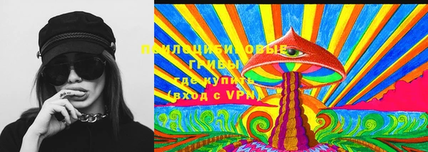 бошки Абинск