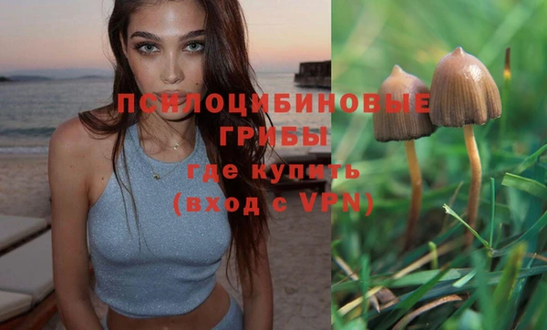 дурь Абдулино